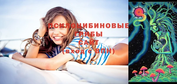 тгк Алексин