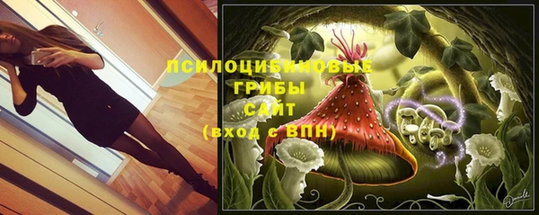 гидропоника Абаза