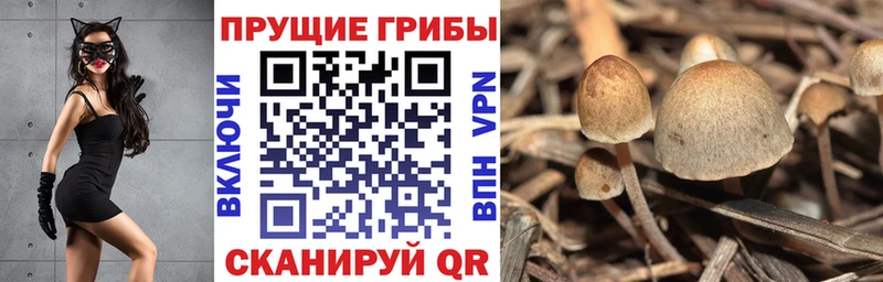 кракен как зайти  Калач  Псилоцибиновые грибы мухоморы 